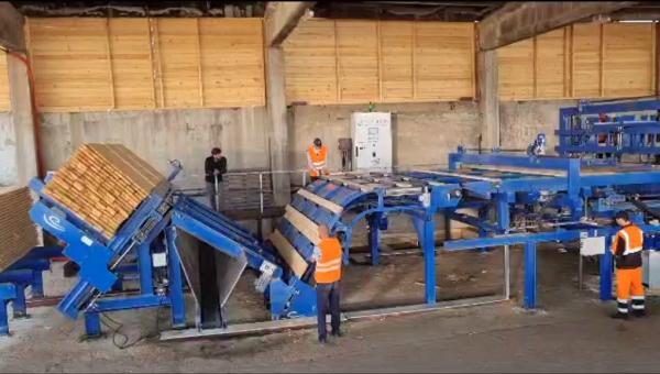 Linea selezione tavole/Accatastatura e Decatastatura