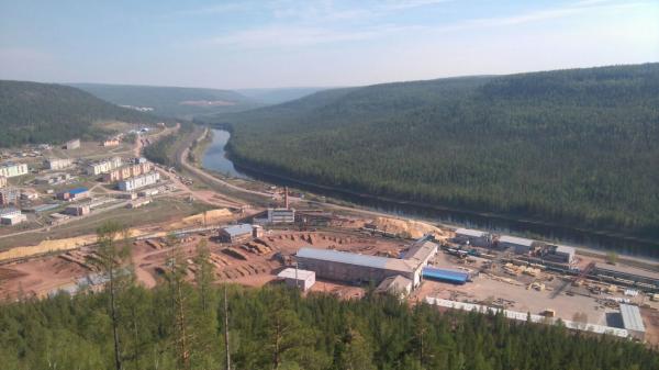 Sawmill plants